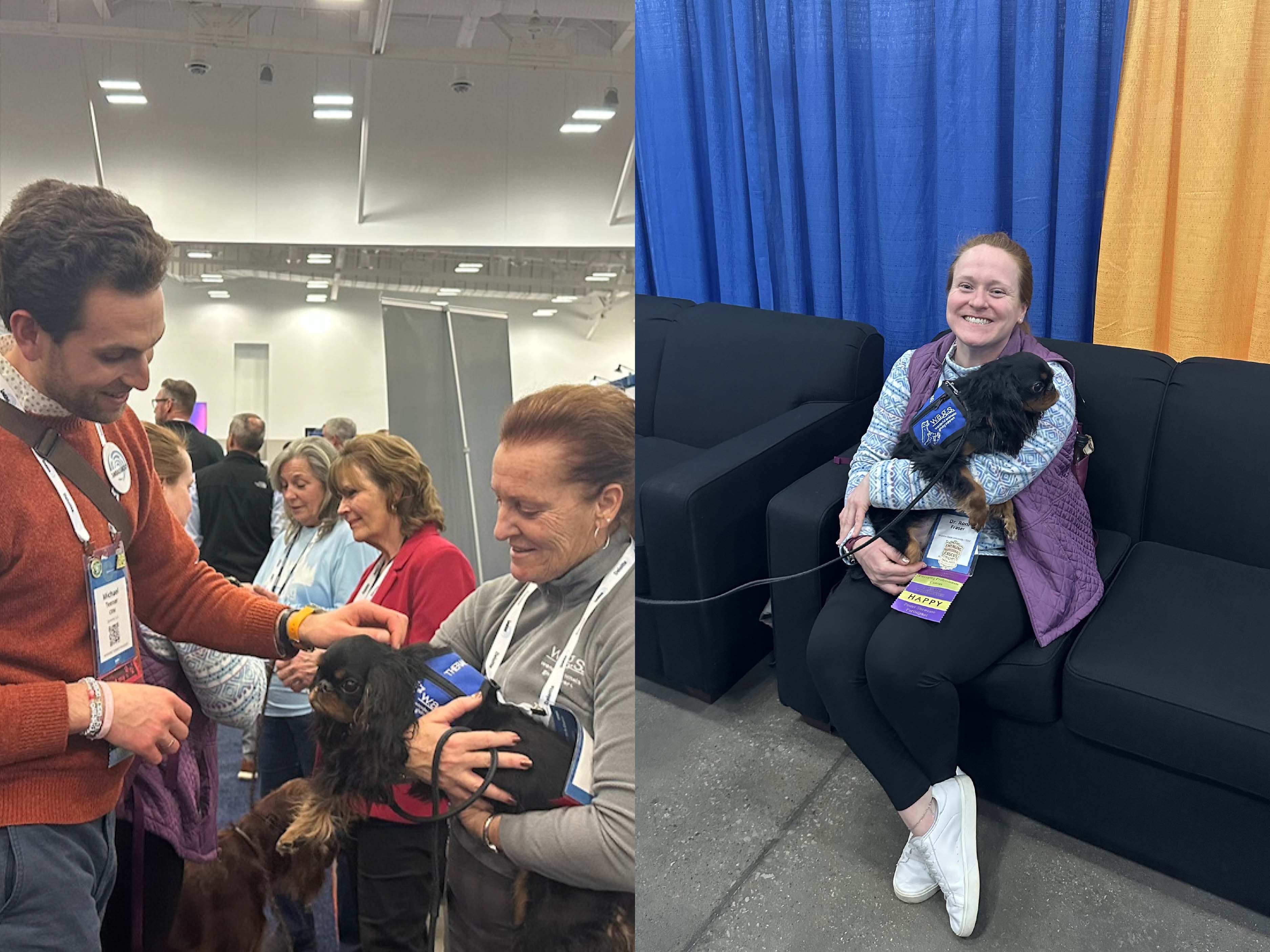 A Puppy Break in EMEX